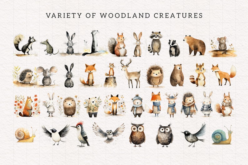 Peut inclure: Une illustration aquarelle repr&eacute;sentant une vari&eacute;t&eacute; de cr&eacute;atures de la for&ecirc;t, notamment des &eacute;cureuils, des lapins, des renards, des hiboux, des cerfs et bien plus encore. Les animaux sont repr&eacute;sent&eacute;s dans un style fantaisiste avec des couleurs vives et des expressions amusantes.