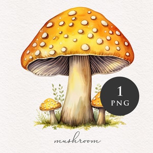 Clipart champignon PNG aquarelle champignons jaunes forêt magique fantastique champignon vénéneux illustration graphiques transfert par sublimation PNGs conte de fées