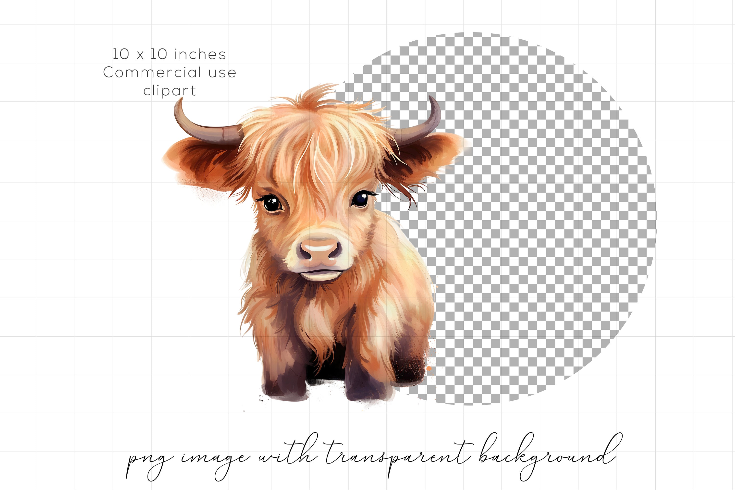 Highland Baby Cow PNG Clipart Western Farm Animals Clip Art Cute Cows ...