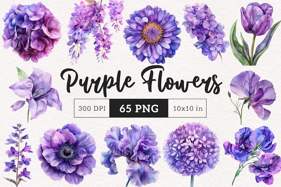Purple Floral Clipart Watercolor Purple Flowers PNG Botanical Printable Blooms Royal flower graphic Wedding Flowers Card making Scrapbooking