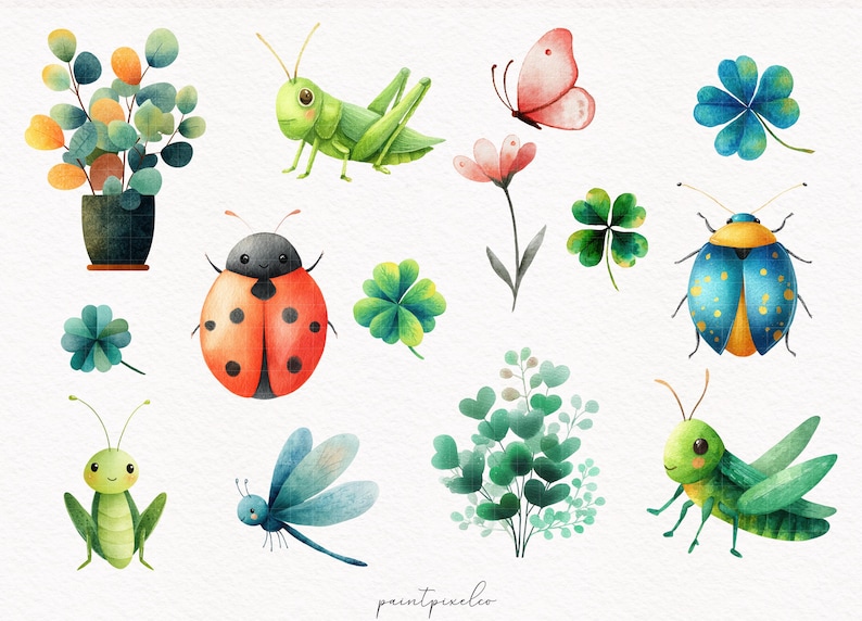May include: Watercolor illustrations of various insects and plants, including a ladybug, grasshoppers, a butterfly, clovers, and a dragonfly. The artwork features a soft color palette with green, orange, and blue hues, perfect for nature-themed designs.