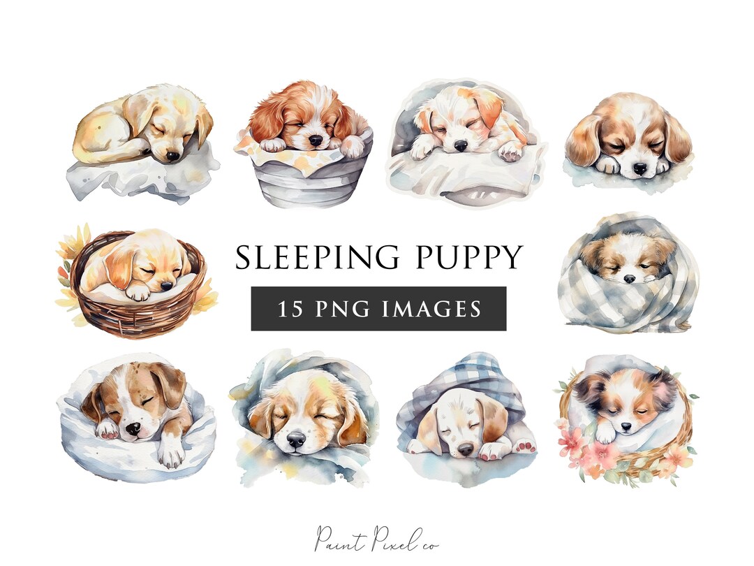 Dog Clipart PNG Watercolor Dog Clipart Puppy Sleeping PNG Cute - Etsy