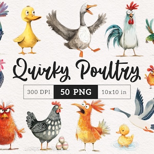 Skurrile Bauernhof-Vögel Clipart, skurriles Geflügel PNG, lustiges Huhn, launische Henne, dumme Ente, Sublimation, Hahn-Grafik, Gans-Clip-Art-Illustration