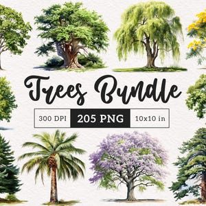 Puede incluir: Un paquete digital de ilustraciones de 205 árboles de acuarela en formato PNG. Los árboles miden 10 pulgadas por 10 pulgadas y 300 DPI. Los árboles son de varios estilos, incluyendo roble, sauce, palmera, pino, y más.