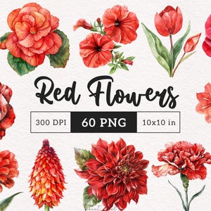 Clipart floral rojo Acuarela Flores carmesí PNG Botánico Romántico Floraciones Gráficos del día de San Valentín Flores de boda Fabricación de tarjetas Scrapbooking