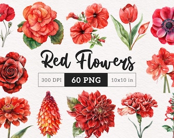 Clipart floral rojo Acuarela Flores carmesí PNG Botánico Romántico Floraciones Gráficos del día de San Valentín Flores de boda Fabricación de tarjetas Scrapbooking