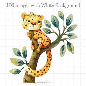 16 Quirky Cheetah JPG Clipart Whimsical Safari clip art Funny African Animals illustrazione card making Mixed Media JPGs uso commerciale