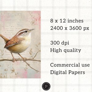 May include: Watercolor illustration of a small bird perched on a branch, set against a backdrop of faded script and pastel colors. The image is 8 x 12 inches and is labeled as high quality digital paper for commercial use.