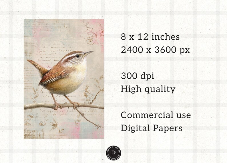 May include: Watercolor illustration of a small bird perched on a branch, set against a backdrop of faded script and pastel colors. The image is 8 x 12 inches and is labeled as high quality digital paper for commercial use.