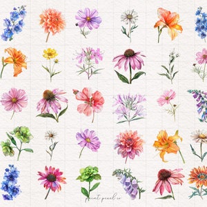 K&ouml;nnte beinhalten: Aquarell-Illustrationen verschiedener Blumen, darunter Lilien, G&auml;nsebl&uuml;mchen, Sonnenhut und Rittersporn. Die Blumen sind in verschiedenen Farben gemalt, darunter Rosa, Lila, Blau, Gelb, Orange und Rot.