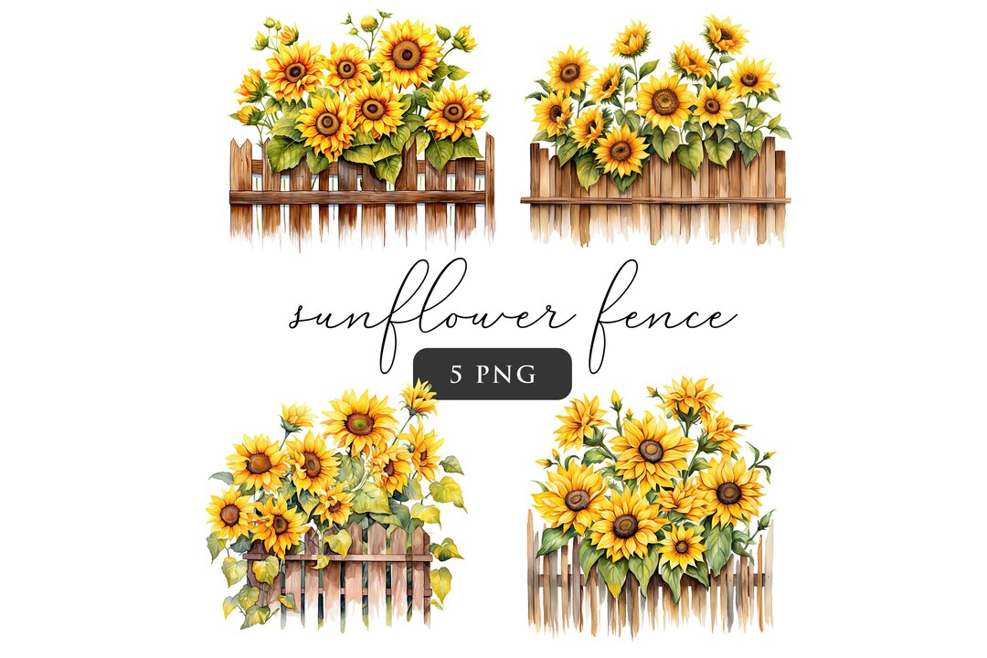 Sunflower Fence Clipart PNG Floral Clip Art Watercolor Sunflowers