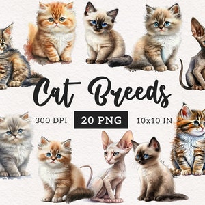 Cat clipart Cat PNG Black cats watercolor clipart Siamese cat Cute kitten Sublimation scrapbook Free commercial use PNG print on demand