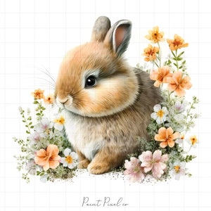 10 cliparts lapin lapin Pâques Clipart jardin haute qualité JPGs scrapbooking journaux indésirables pépinière licence commerciale gratuite fabrication de cartes autocollants