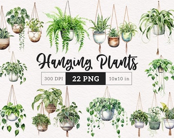 Imágenes prediseñadas de plantas colgantes, acuarela, follaje botánico PNG, ilustración para amantes de la jardinería, imágenes para planificadores de jardines en casa, manualidades, álbumes de recortes, uso comercial.