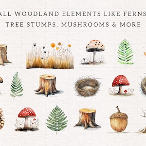 Peut inclure: Illustrations &agrave; l'aquarelle d'&eacute;l&eacute;ments de la for&ecirc;t, notamment des foug&egrave;res, des souches d'arbres, des champignons, un nid d'oiseau, un gland et une branche d'arbre nue. Les illustrations sont peintes dans des tons de brun, de vert, de rouge et d'orange.
