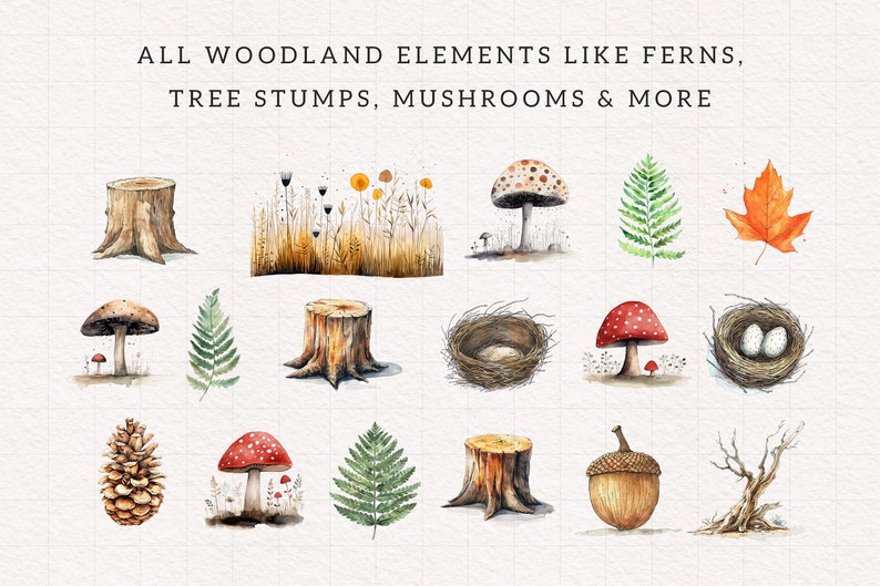Peut inclure: Illustrations &agrave; l'aquarelle d'&eacute;l&eacute;ments de la for&ecirc;t, notamment des foug&egrave;res, des souches d'arbres, des champignons, un nid d'oiseau, un gland et une branche d'arbre nue. Les illustrations sont peintes dans des tons de brun, de vert, de rouge et d'orange.