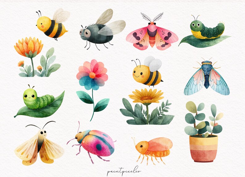 May include: Watercolor illustrations of various insects and plants. The image features a yellow and black bee, a gray fly, a pink moth, a green caterpillar, and colorful flowers. A cute, whimsical design.