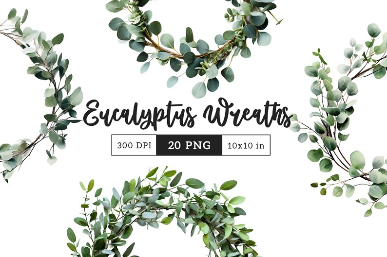 Eucalyptus Wreath Clipart PNG Bundle Realistic Wreaths Sublimation ...
