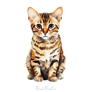 Bengal Katze Clipart 25 Hochwertige JPGs Scrapbook Junk Journal Digitales Papier Handwerk Grußkarte Kommerzielle Lizenz Digitaler Download