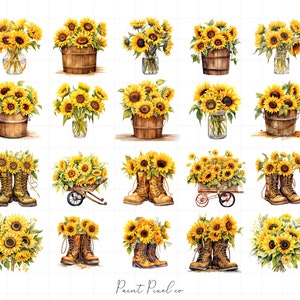 K&ouml;nnte beinhalten: Eine digitale Collage aus 18 Aquarell-Illustrationen von Sonnenblumen in verschiedenen Arrangements. Einige Sonnenblumen befinden sich in Holzeimern, andere in Glasbeh&auml;ltern, wieder andere in einer Schubkarre und einige in Stiefeln. Die Sonnenblumen sind alle gelb mit gr&uuml;nen Bl&auml;ttern.
