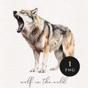 Wolf clipart PNG Bundle watercolor Sublimation transfer clip art majestic graphic illustrations wilderness woodland animals Wolf lover