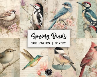 Spring Birds Junk Journal Papers - Shabby Garden Birds Printable - Rustic floral Scrapbook Ephemera Digital Backgrounds JPG