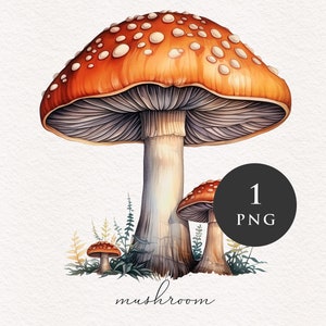Champignons clipart PNG aquarelle orange champignons forêt magique fantastique champignon vénéneux illustration graphiques transfert par sublimation PNGs conte de fées
