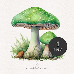 Champignon clipart PNG Aquarelle Champignons verts Forêt magique Fantasy Toadstools illustration graphiques Sublimation Transfert PNGs Conte de fées