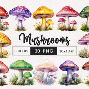 Clipart champignon PNG aquarelle champignons verts forêt magique fantastique champignon vénéneux illustration graphiques transfert par sublimation PNGs conte de fées