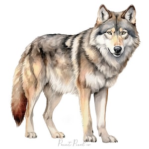 10 Watercolor wolf Clipart High Quality JPGs Woodland wolf forest clip art JPG Sublimation Junk Journal Paper crafting Commercial License