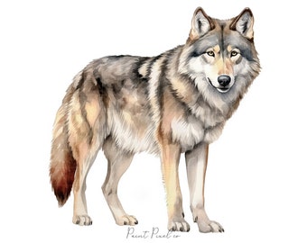10 Watercolor wolf Clipart High Quality JPGs Woodland wolf forest clip art JPG Sublimation Junk Journal Paper crafting Commercial License
