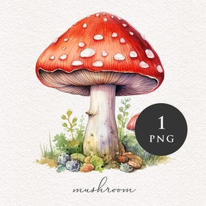 Champignon clipart PNG Aquarelle Champignons rouges Forêt magique Fantasy Toadstool illustration graphiques Sublimation Transfert PNGs Conte de fées