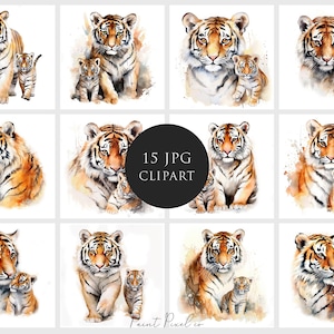 Tiger Clipart Haute qualité JPGs clip art Maman &bébé tigre cub JPG animal Sublimation Junk Journal Paper crafting Licence commerciale