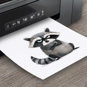 Grumpy Raccoon Clipart Whimsical PNG Angry Raccoon Woodland Sublimation ...