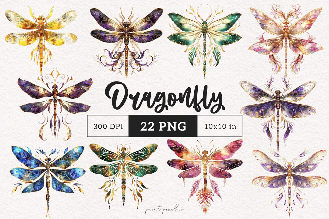 Whimsy Dragonfly PNG Watercolor Dragonflies Clipart Whimsical Insects ...