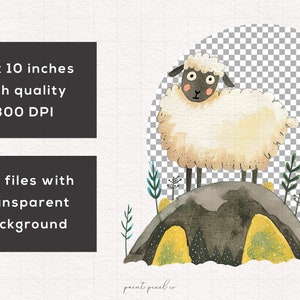 May include: A watercolor illustration of a white sheep standing on a gray rock with green grass and yellow flowers. The sheep has black eyes and a black nose. The background is a transparent checkered pattern.