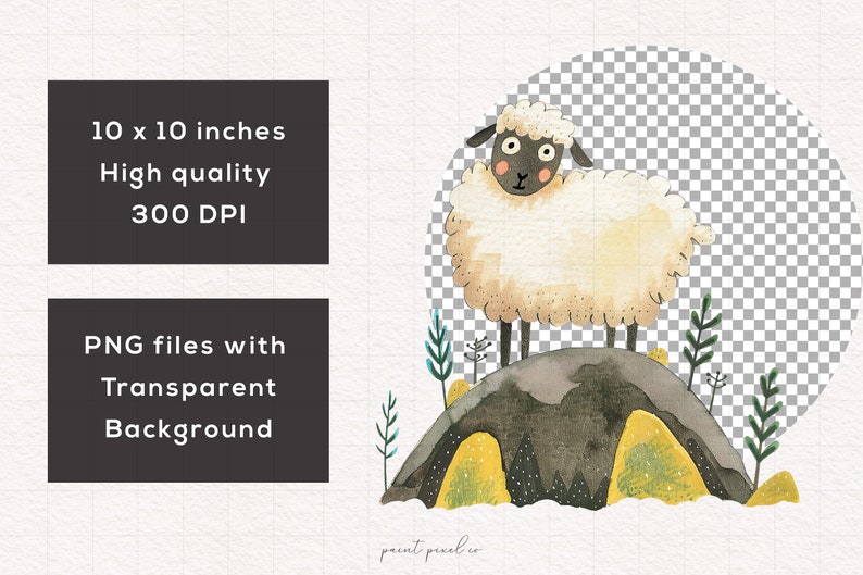 May include: A watercolor illustration of a white sheep standing on a gray rock with green grass and yellow flowers. The sheep has black eyes and a black nose. The background is a transparent checkered pattern.