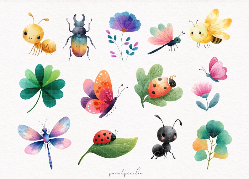 May include: Watercolor illustrations of various insects and flowers, including an ant, beetle, dragonfly, ladybug, butterfly, and bee. The artwork features a soft color palette with detailed depictions of each insect and floral element.