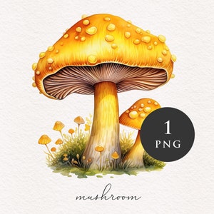 Clipart champignon PNG aquarelle champignons jaunes forêt magique fantastique champignon vénéneux illustration graphiques transfert par sublimation PNGs conte de fées