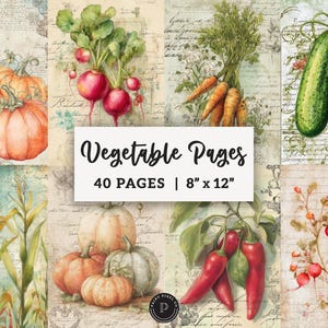May include: A collage of watercolor illustrations of various vegetables, including pumpkins, radishes, carrots, cucumbers, and chili peppers. The text "Vegetable Pages" is displayed, along with "40 Pages | 8" x 12". The background has a vintage, aged paper texture.