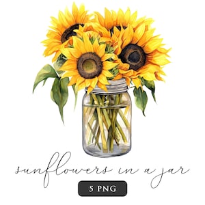 Girassóis em jarra clipart PNG floral Clip art aquarela girassóis Verão vintage Arte botânica PNGs Sublimação Journaling Card making