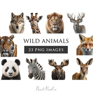 Wild animals clipart Realistic animals PNG Photo Tiger Lion Elephant Jungle animals PNG Sublimation Nursery Art sticker Free commercial use