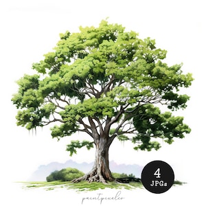 May include: A digital painting of a large, green tree with a thick trunk and branches. The tree is isolated on a white background. The image is part of a set of 4 digital paintings.