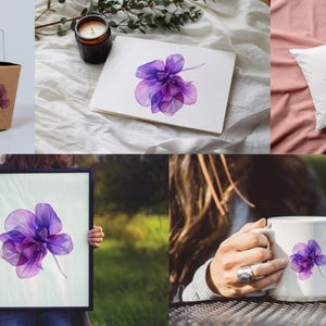 May include: A set of watercolor illustrations featuring a purple flower with delicate petals. The flower is shown on a white background and is available in various formats, including a mug, pillow, and framed print.