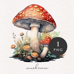 Champignon clipart PNG Aquarelle Champignons rouges Forêt magique Fantasy Toadstool illustration graphiques Sublimation Transfert PNGs Conte de fées