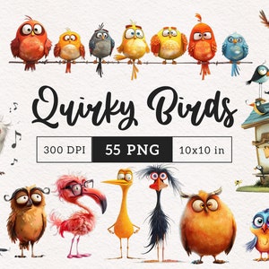 Funny Bird Clipart PNG Quirky Bird Illustrations Whimsical Birds on wire Sublimation clip art whimsy graphics elongated cartoon bird faces