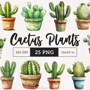 Plantas de cactus PNG Acuarela de cactus en maceta Lindo clipart Amantes de las plantas del desierto Jardín Papel de sublimación Manualidades Kit de diario basura Imprimible