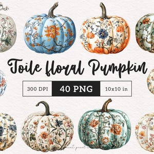Toile citrouilles Clipart beige pastel chinoiseries PNG neutre toile automne sublimation automne citrouille florale Junk Journal graphiques