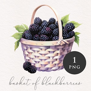 Mand met bramen Clipart PNG Fruit clip art Berry Hoge kwaliteit voedsel Blackberry Sublimatie Grafisch Papier crafting Commercieel gebruik