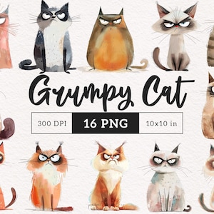 Clipart chat grincheux PNG chats fantaisistes en colère chaton sublimation clipart graphiques animaux originaux illustrations sarcastiques cadeau pour amoureux des chats